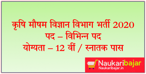 DAM Cg Raipur Recruitment
