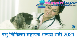 Dantewada Recruitment Vacancy 2021