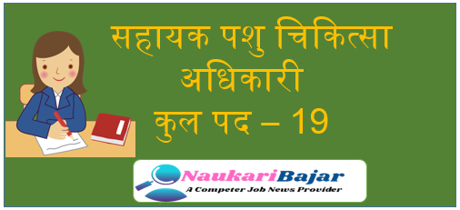 Durg Job Vacancy 2021